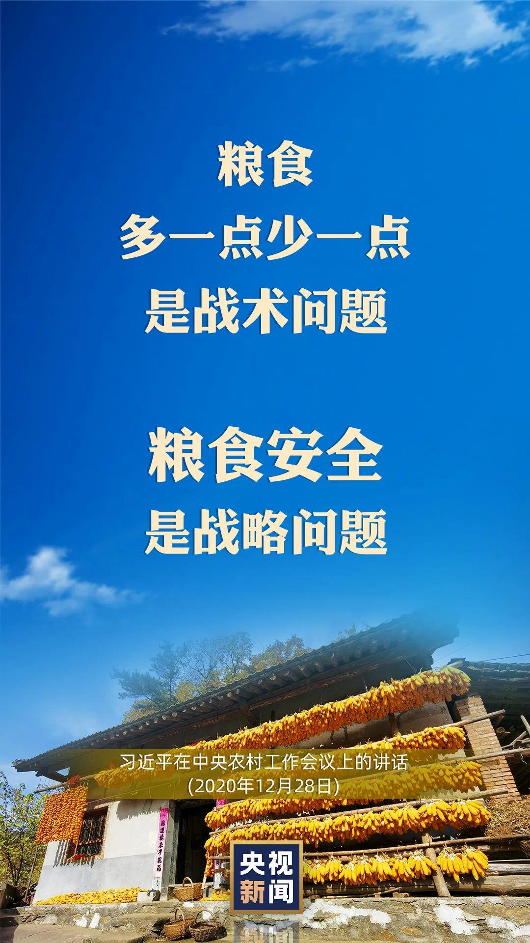習近平：以國內穩產保供的確定性來應對外部環境的不確定性