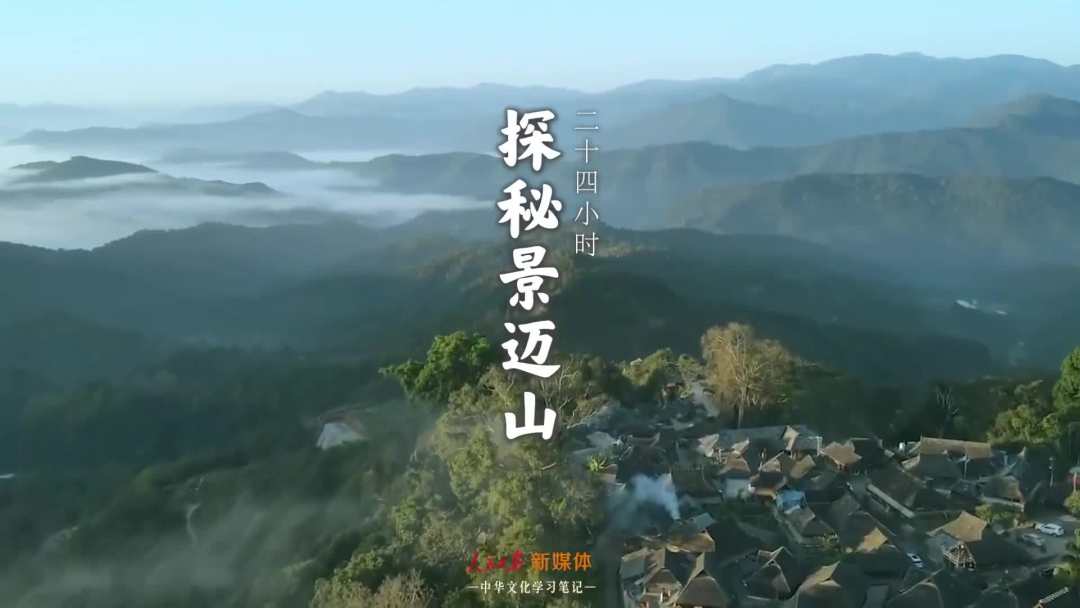 景邁山是個什么山?航拍云南普洱森林里的世界遺產