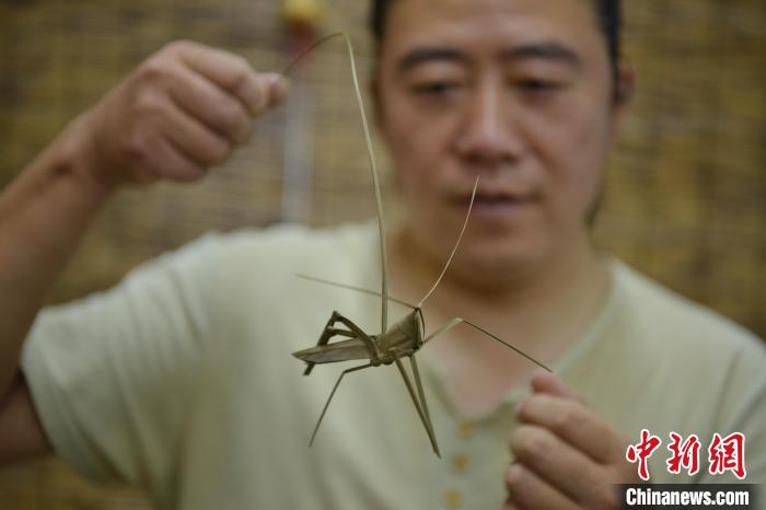 石家莊民間手藝人的草編技藝：葉稈的另一種姿態