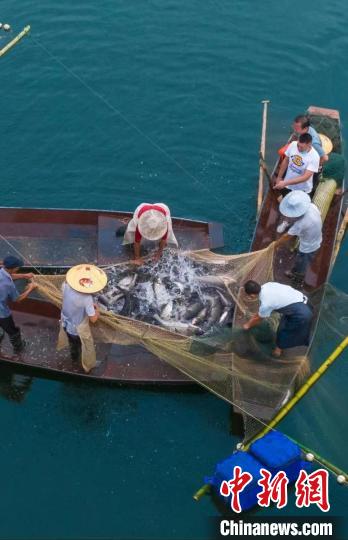 捕魚現場?！≈鬓k方供圖