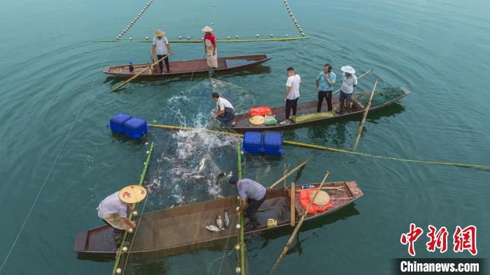 捕魚現場。　主辦方供圖