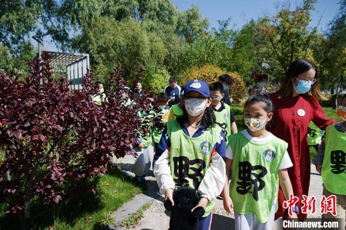 圖為小朋友在青海西寧湟水國家濕地公園內認識植物。　馬銘言 攝