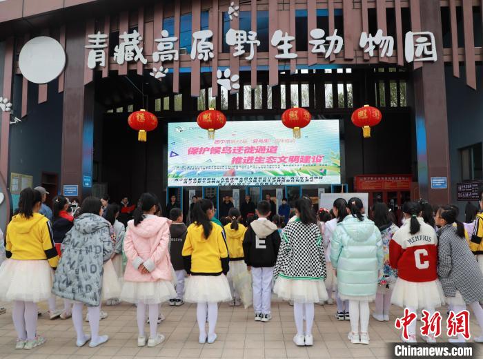 圖為青海省西寧市開展第42屆“愛鳥周”科普宣傳活動?！●R銘言 攝