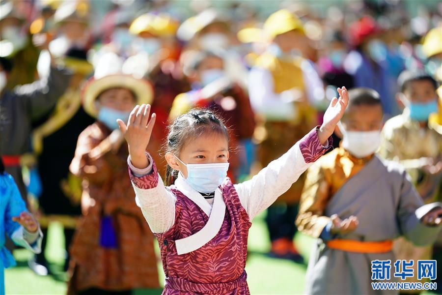 （新華網西藏頻道）（圖文互動）2500朵“向日葵”的綻放日(4)