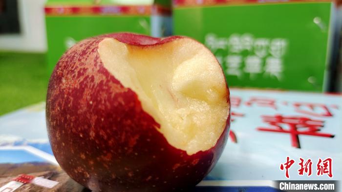 圖為通麥村特色甜心蘋果?！∝暽＠?攝