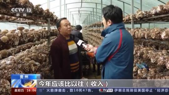 種蘑菇、養(yǎng)駱駝...。。特色產業(yè)助力鄉(xiāng)村振興走新路