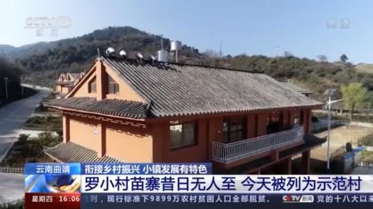 種蘑菇、養(yǎng)駱駝...。。特色產業(yè)助力鄉(xiāng)村振興走新路