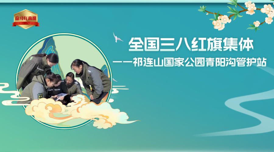雨水24節氣圖文風橫版海報__2025-04-16+16_49_42.jpg