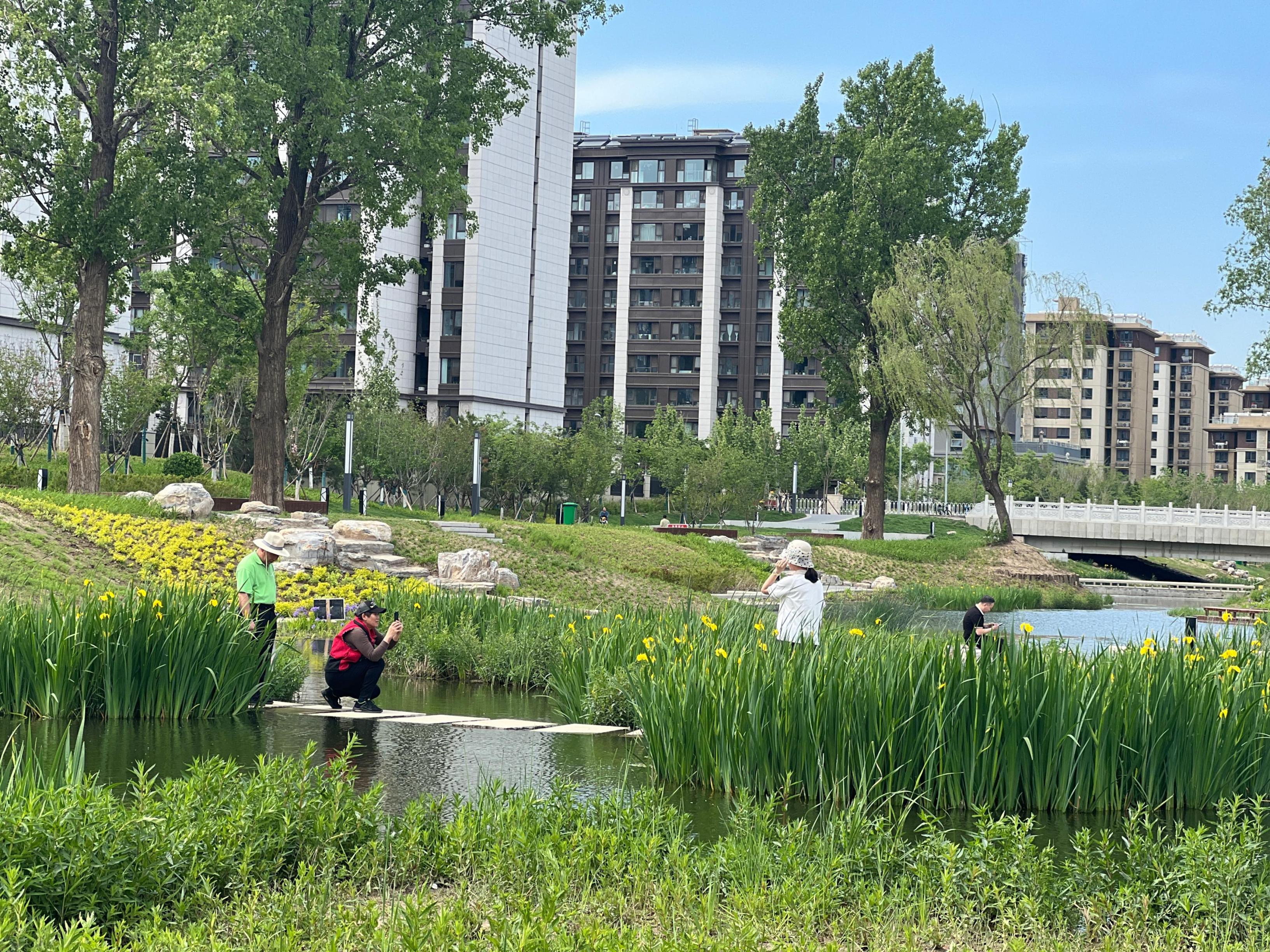 五一渠生態(tài)濱河公園內(nèi)，市民正在拍照留念。人民網(wǎng) 歐陽易佳攝