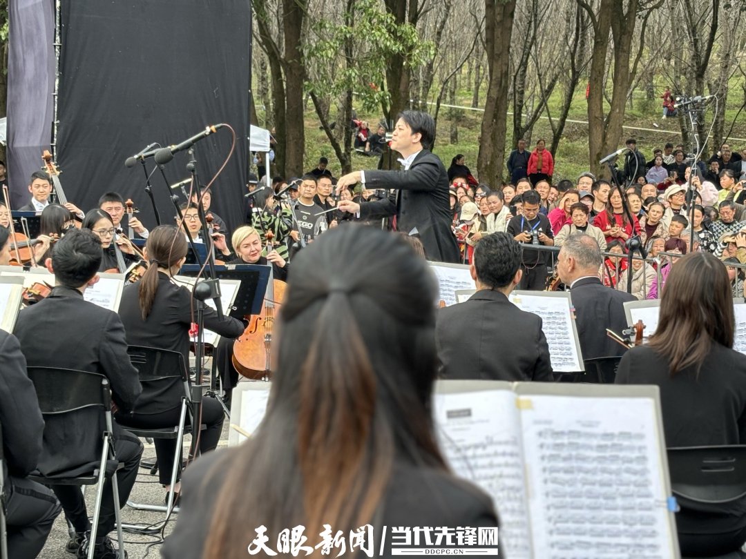 貴陽路邊音樂會·貴安櫻花園專場交響樂現場。丁亞 文丹 攝