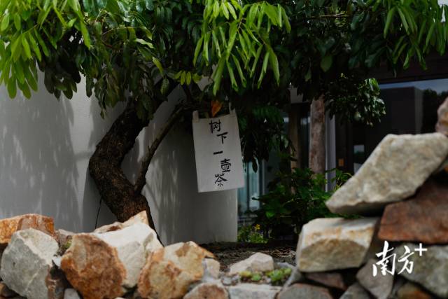 崖口村內的文藝民宿。