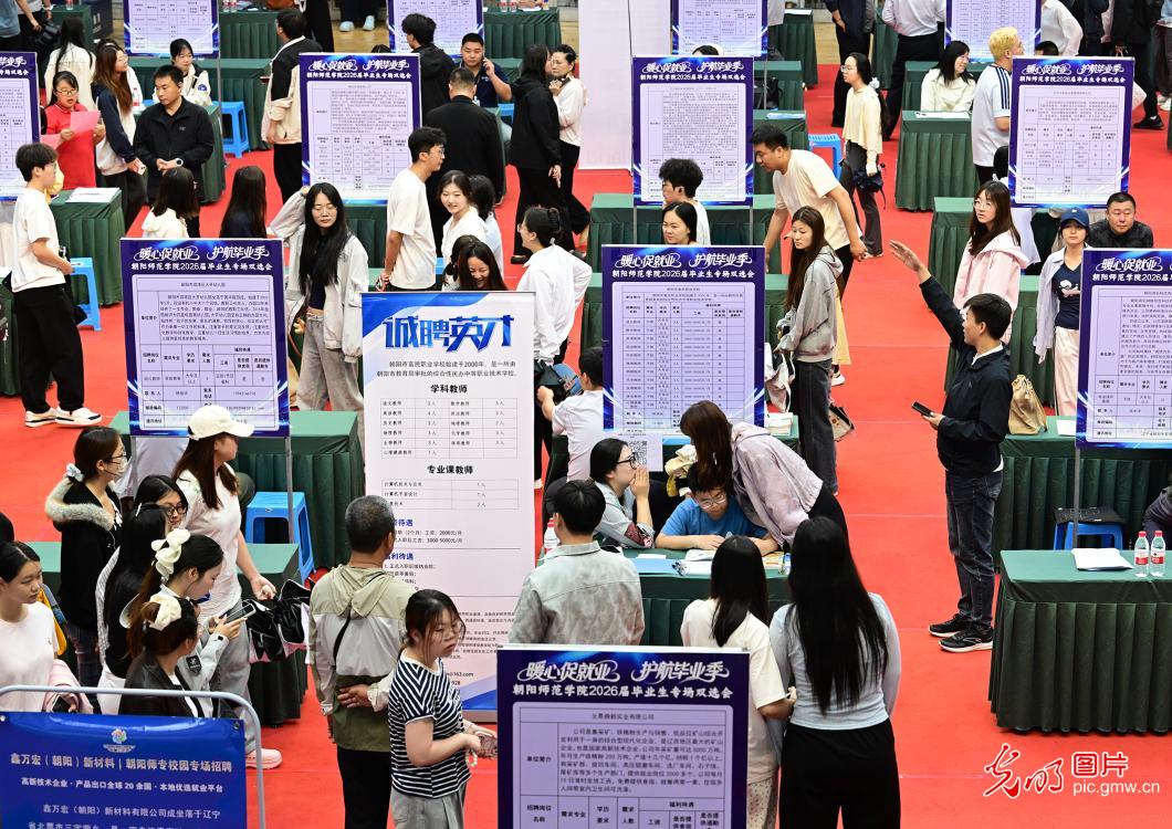 【職引未來】“百日沖刺”正當時 多方聚力精準服務促就業