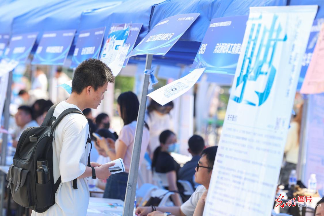 【職引未來】“百日沖刺”正當時 多方聚力精準服務促就業