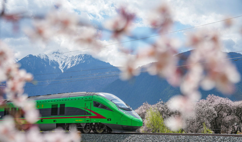 2025年4月2日，復(fù)興號列車穿行在拉林鐵路林芝段。