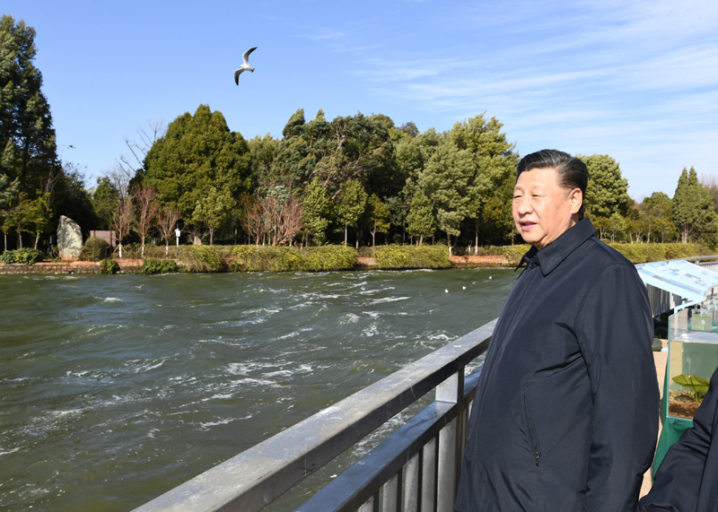 2020年1月20日下午，習近平總書記在云南昆明滇池星海半島生態濕地考察調研。
