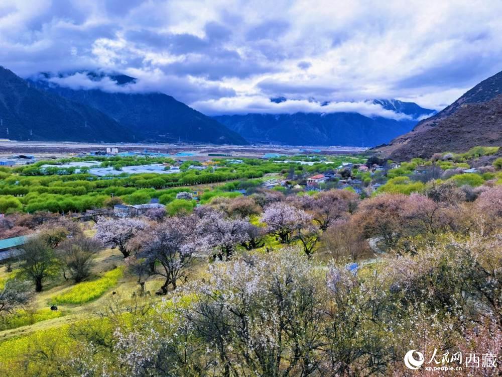 桃花從中的“童話小鎮”。人民網 李海霞攝