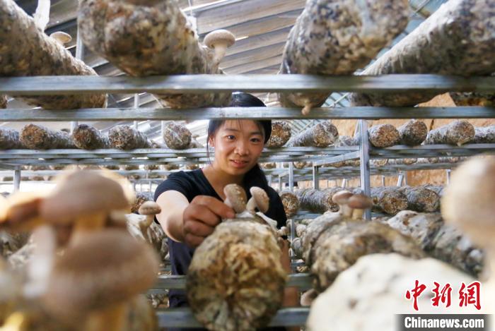 甘肅天?！跋愎椒蚱蕖毕律饺氪ǎ捍笈锢镉板X景”