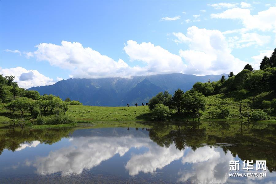 （新華視界）（6）甘肅舟曲：夏日藏鄉畫中景