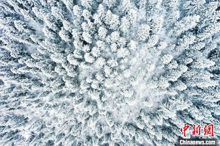 壤塘的雪后美景。 壤塘縣融媒體中心供圖
