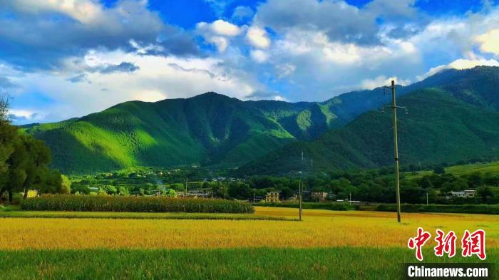 云南迪慶:鄉村旅游助力增收致富