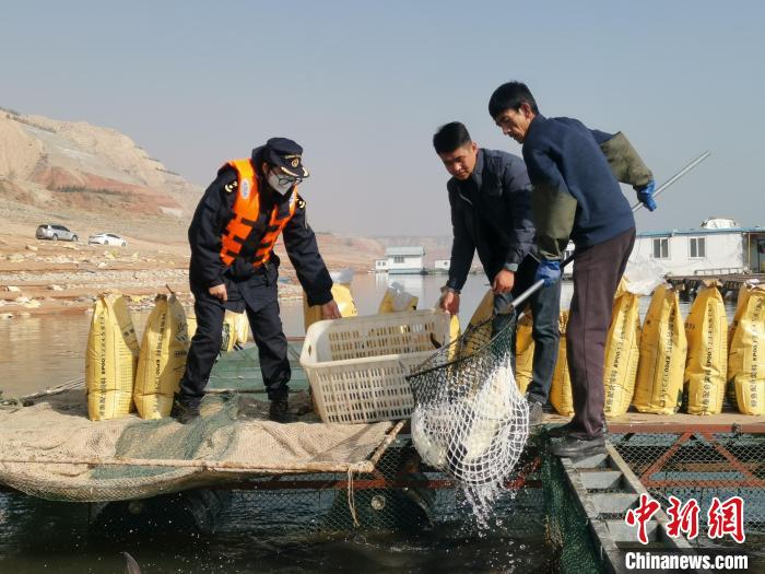 甘肅牦牛乳制品拓展南亞合作民族特色產品闖海外市場