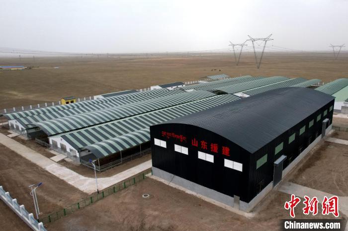 圖為航拍生態畜牧業集中規模化養殖基地。　蔡志睿 攝