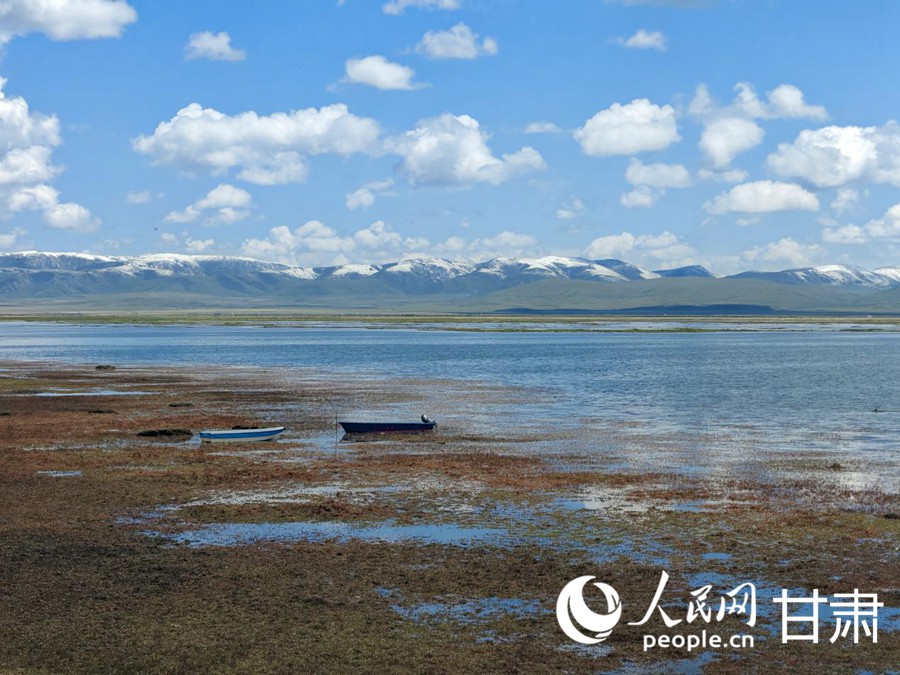 夏日的尕海湖風(fēng)情萬(wàn)種。人民日?qǐng)?bào)記者 銀燕攝