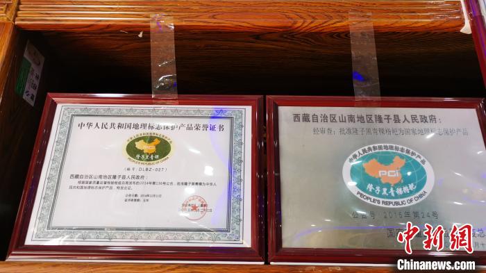 圖為2015年，隆子黑青稞成為中國國家地理標志保護產品。　張偉 攝