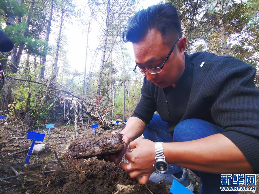 （決戰決勝脫貧攻堅·圖文互動）（2）產業援藏“拔窮根” 新思路激發脫貧新動力