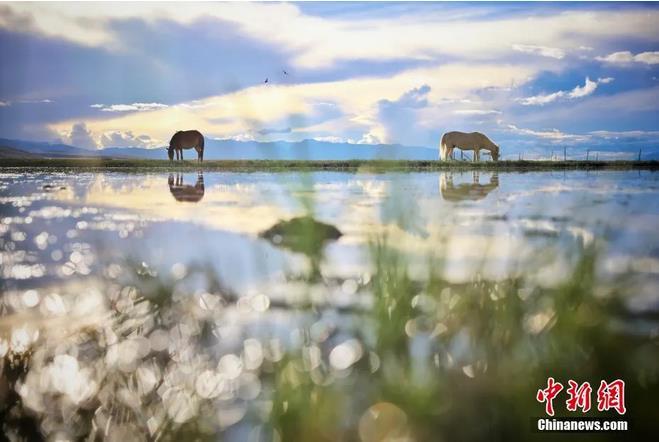 資料圖：那曲市申扎縣境內(nèi)的濕地。李雪峰 攝