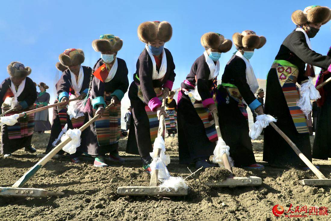 當地村民身著節日盛裝，舉行春耕儀式。人民網 次仁羅布攝
