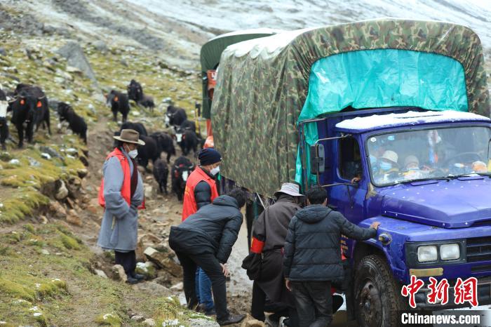 圖為牧民們查看車輛準備出發?！÷蹇?攝