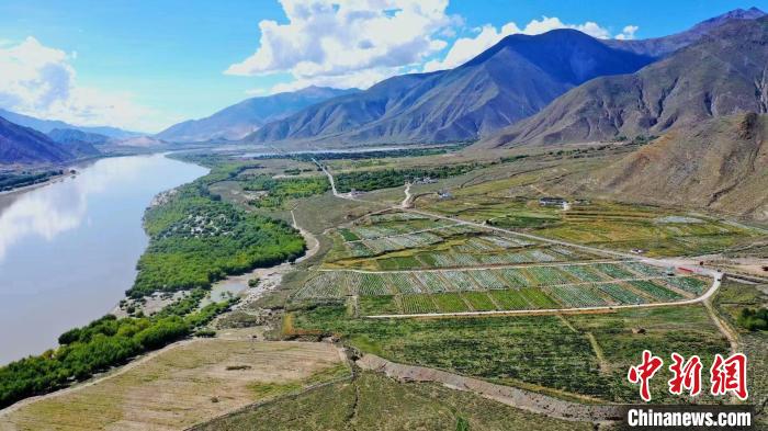 圖為桑日縣葡萄種植基地。 山南桑日縣委宣傳部提供
