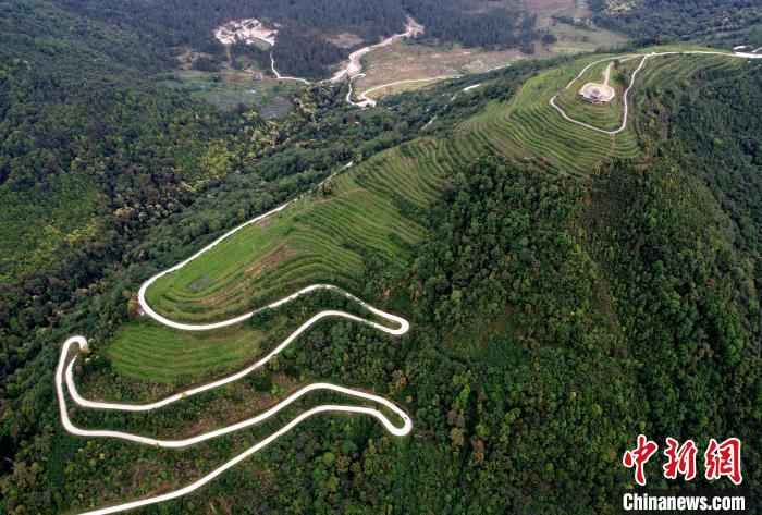 圖為西藏林芝市墨脫縣背崩鄉格林村山頂的景觀茶園。(無人機照片) 李林 攝