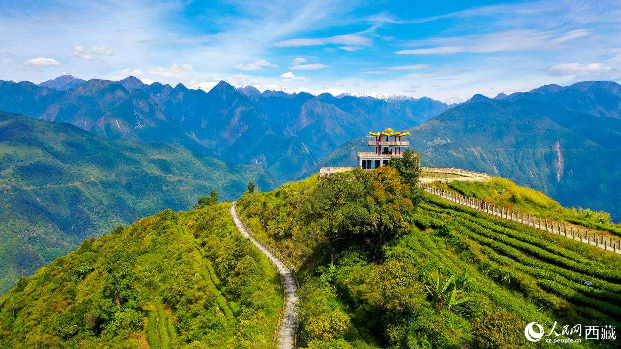 無人機航拍墨脫縣格林村蓮花觀景臺。人民網(wǎng)記者 次仁羅布攝