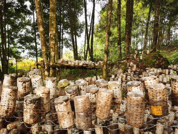 幾代建設者，歷經半個多世紀完成！這是一條怎樣的公路？