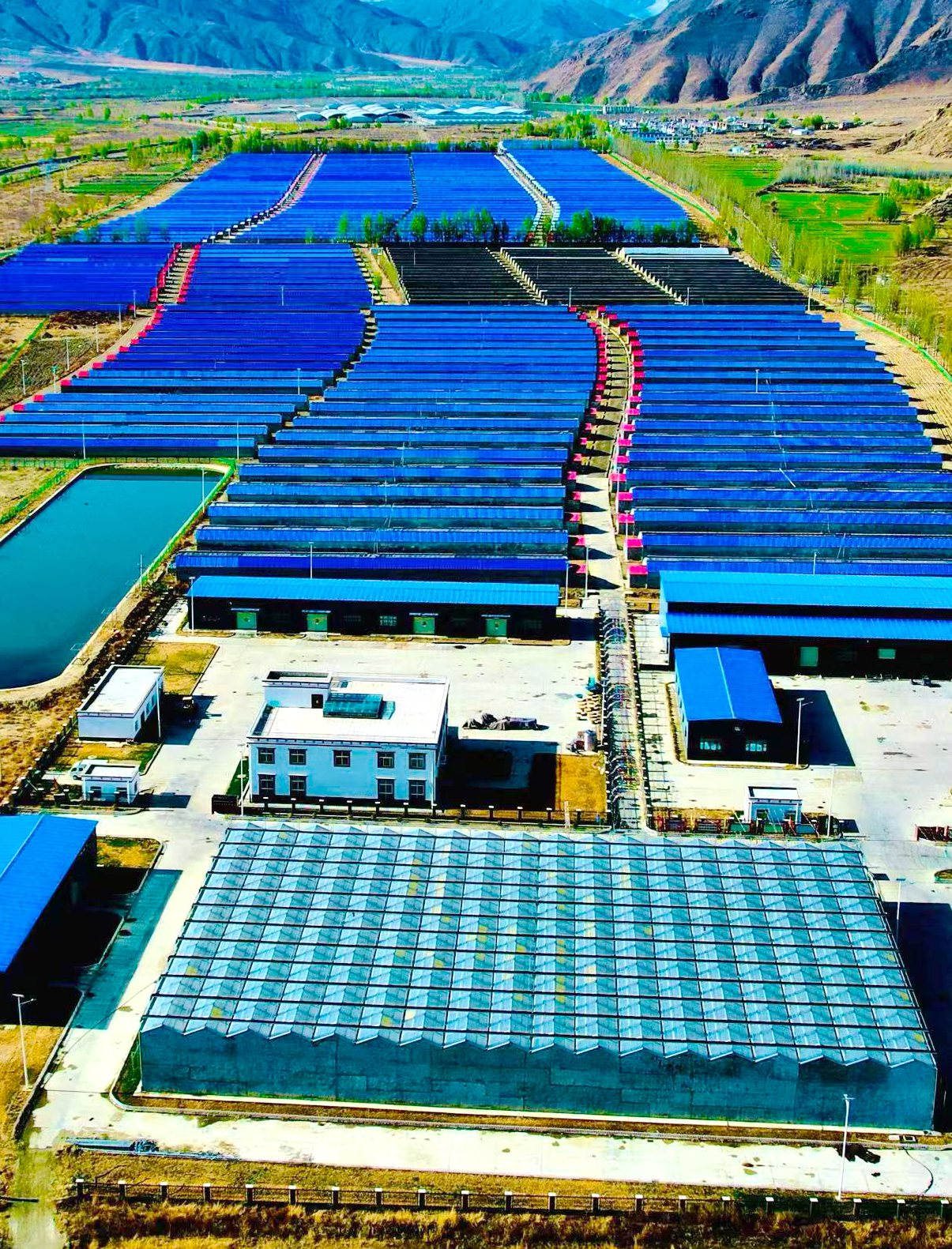 西藏山南市瓊結縣唐布齊村高標準溫室大棚基地。倫珠澤仁攝