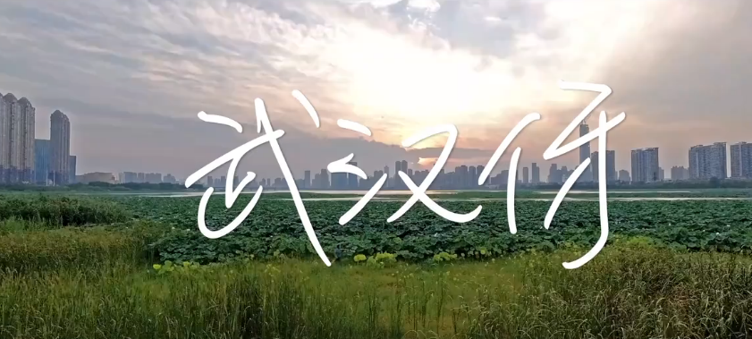 QQ瀏覽器截圖20200212094847.png