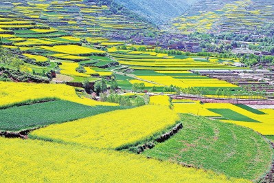 甘肅：譜寫富民興隴時代篇章