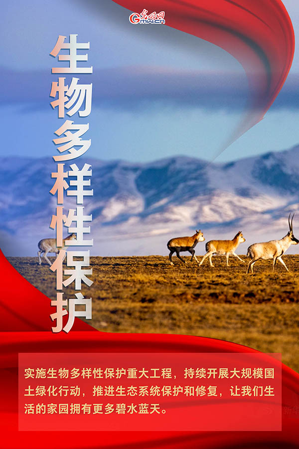 海報| 2021年政府工作報告，提到這些生態環保關鍵詞