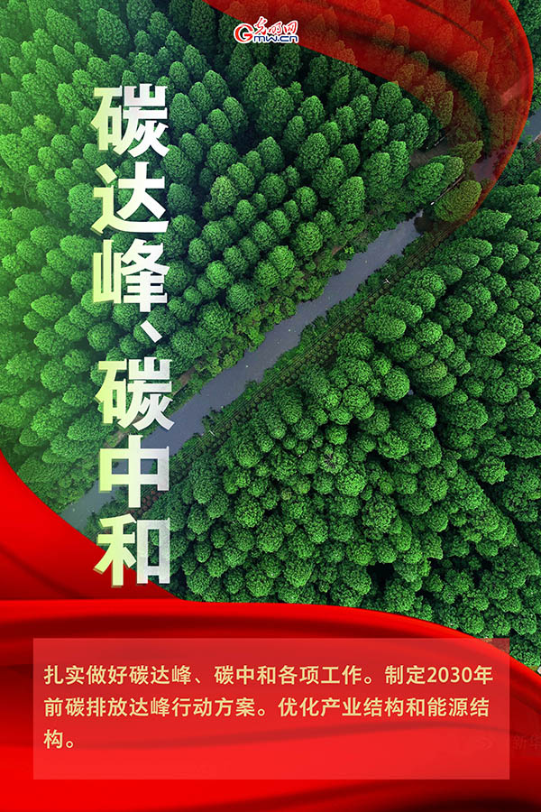 海報| 2021年政府工作報告，提到這些生態環保關鍵詞