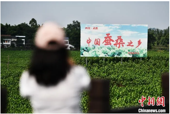 圖片.png