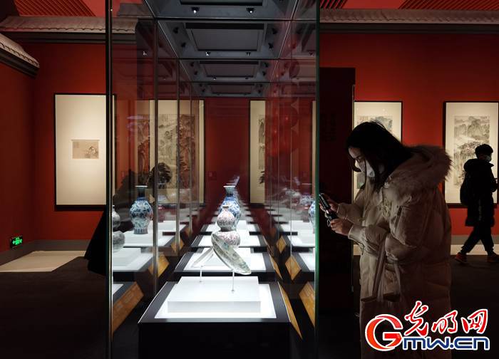【新春走基層】視頻丨虎年看虎展！來國博感受虎文化