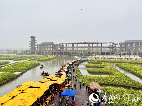 興化千垛菜花旅游節期間，游客前來打卡。人民網 王丹丹攝